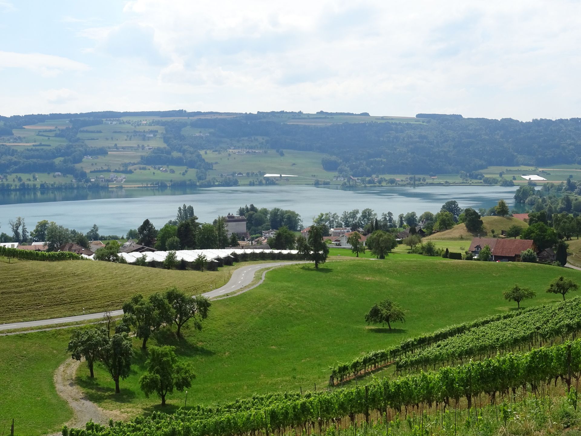 Schloss Heidegg, Hitzkirch